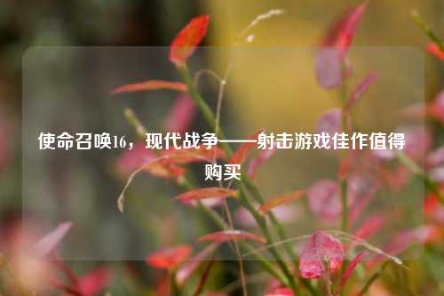 使命召唤16，现代战争——射击游戏佳作值得购买