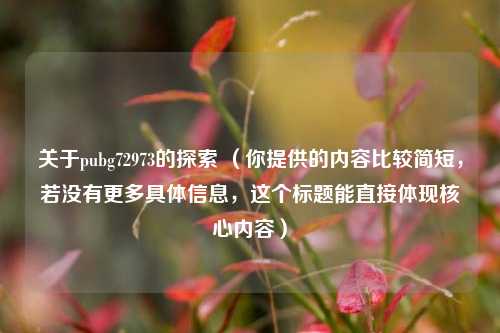 关于pubg72973的探索 （你提供的内容比较简短，若没有更多具体信息，这个标题能直接体现核心内容）