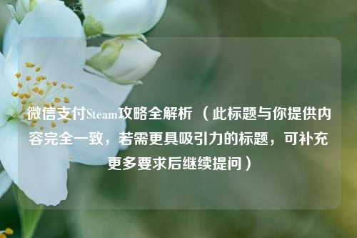 微信支付Steam攻略全解析 （此标题与你提供内容完全一致，若需更具吸引力的标题，可补充更多要求后继续提问）