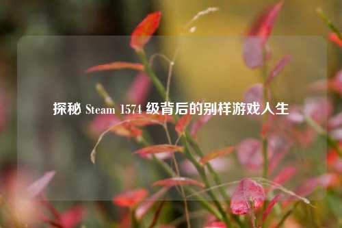 探秘 Steam 1574 级背后的别样游戏人生