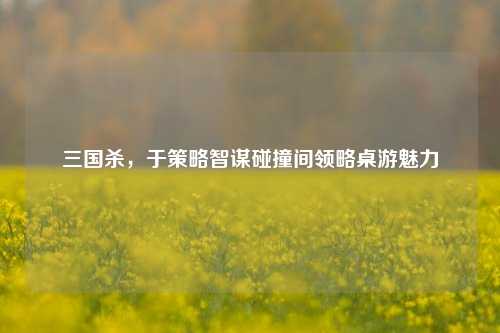 三国杀，于策略智谋碰撞间领略桌游魅力