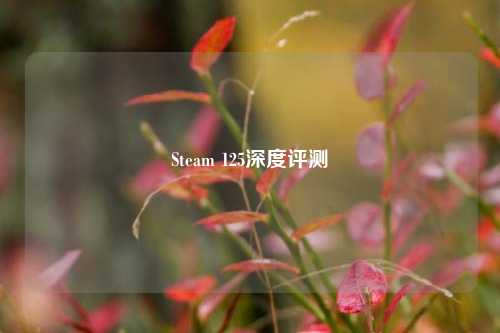 Steam 125深度评测