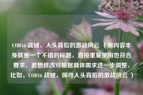 COD16 战域，人头背后的激战风云 （原内容本身就是一个不错的标题，直接重复使用也符合要求，若想修改可根据具体需求进一步调整，比如，COD16 战域，探寻人头背后的激战风云 ）