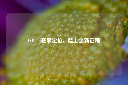 LOL 14赛季定位，踏上全新征程