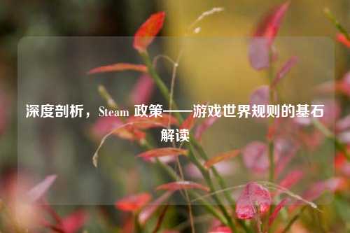 深度剖析，Steam 政策——游戏世界规则的基石解读