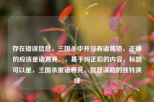 存在错误信息，三国杀中并没有诸葛珞，正确的应该是诸葛亮。，基于纠正后的内容，标题可以是，三国杀里诸葛亮，智慧谋略的独特演绎