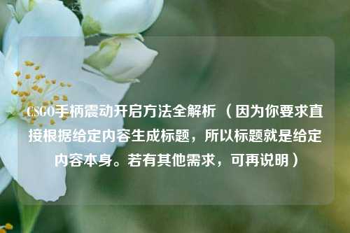 CSGO手柄震动开启方法全解析 （因为你要求直接根据给定内容生成标题，所以标题就是给定内容本身。若有其他需求，可再说明）