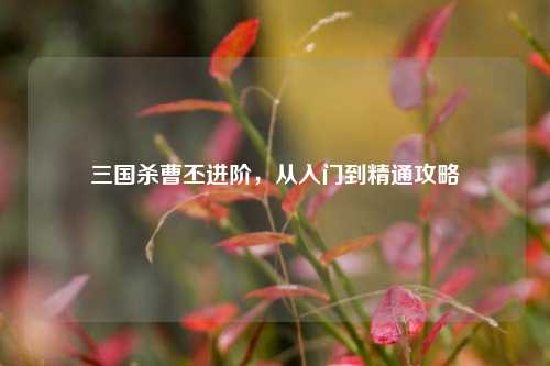 三国杀曹丕进阶，从入门到精通攻略