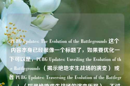 PUBG Updates: The Evolution of the Battlegrounds 这个内容本身已经很像一个标题了,如果要优化一下可以是,PUBG Updates: Unveiling the Evolution of the Battlegrounds (揭示绝地求生战场的演变) 或者 PUBG Updates: Traversing the Evolution of the Battlegrounds (探寻绝地求生战场的演变历程),不过按照你的要求,直接用提供内容的话,标题就