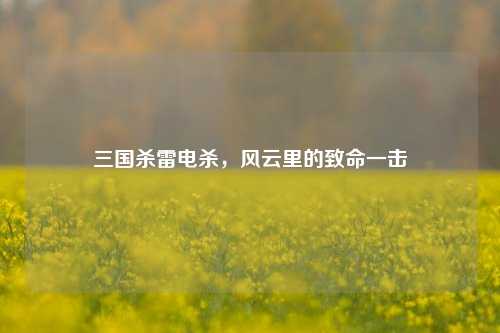 三国杀雷电杀，风云里的致命一击