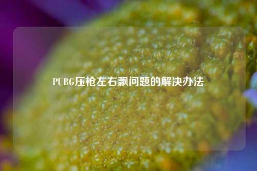 PUBG压枪左右飘问题的解决办法