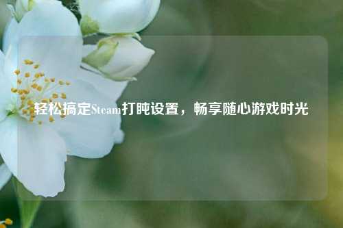 轻松搞定Steam打盹设置，畅享随心游戏时光