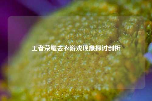 王者荣耀去衣游戏现象探讨剖析