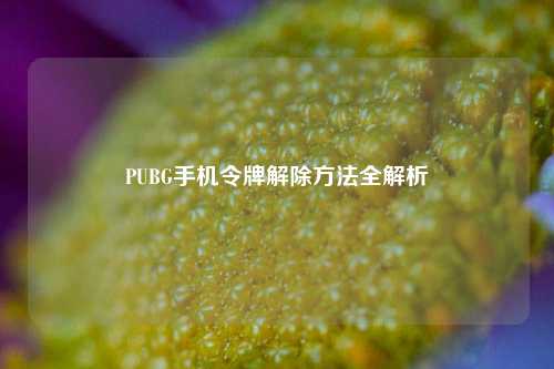PUBG手机令牌解除方法全解析