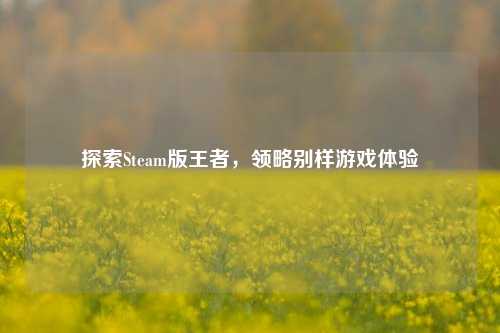 探索Steam版王者，领略别样游戏体验