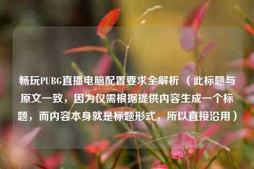 畅玩PUBG直播电脑配置要求全解析 (此标题与原文一致,因为仅需根据提供内容生成一个标题,而内容本身就是标题形式,所以直接沿用)