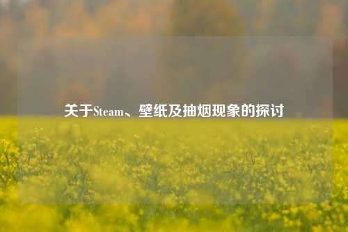 关于Steam、壁纸及抽烟现象的探讨