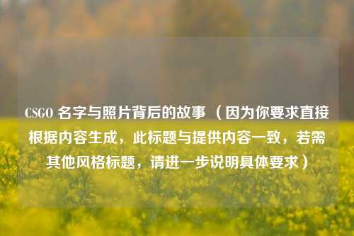 CSGO 名字与照片背后的故事 （因为你要求直接根据内容生成，此标题与提供内容一致，若需其他风格标题，请进一步说明具体要求）