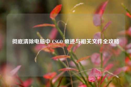 彻底清除电脑中 CSGO 痕迹与相关文件全攻略