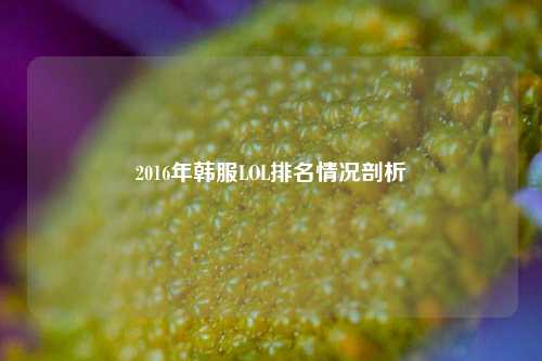 2016年韩服LOL排名情况剖析