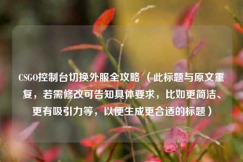 CSGO控制台切换外服全攻略 （此标题与原文重复，若需修改可告知具体要求，比如更简洁、更有吸引力等，以便生成更合适的标题）
