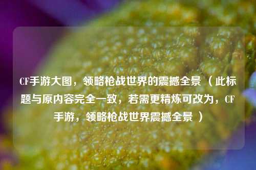 CF手游大图,领略枪战世界的震撼全景 (此标题与原内容完全一致,若需更精炼可改为,CF手游,领略枪战世界震撼全景 )