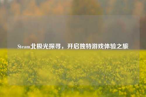 Steam北极光探寻，开启独特游戏体验之旅