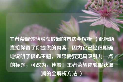 王者荣耀体验服获取澜的方法全解析 （此标题直接保留了你提供的内容，因为它已经很明确地说明了核心主题，如果需要更具吸引力一点的标题，可改为，速看！王者荣耀体验服获取澜的全解析方法 ）