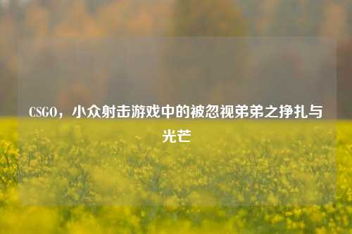 CSGO,小众射击游戏中的被忽视弟弟之挣扎与光芒