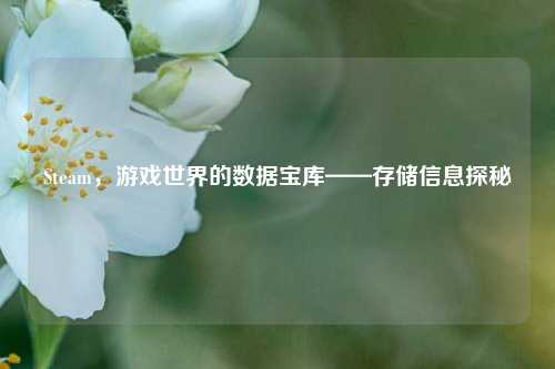 Steam，游戏世界的数据宝库——存储信息探秘