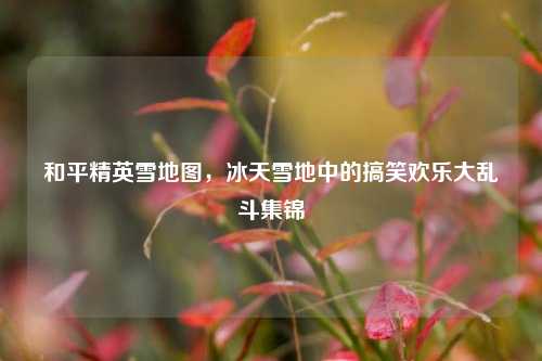 和平精英雪地图,冰天雪地中的搞笑欢乐大乱斗集锦