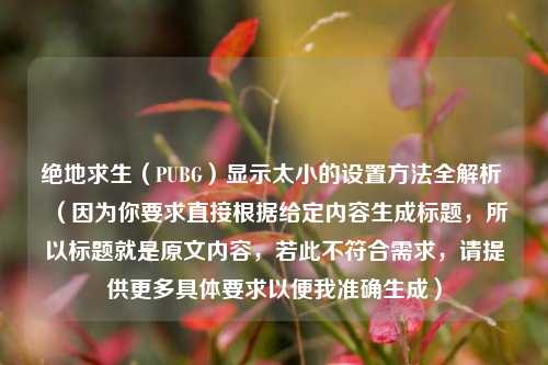 绝地求生(PUBG)显示太小的设置方法全解析 (因为你要求直接根据给定内容生成标题,所以标题就是原文内容,若此不符合需求,请提供更多具体要求以便我准确生成)
