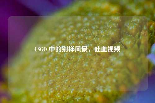 CSGO 中的别样风景，吐血视频