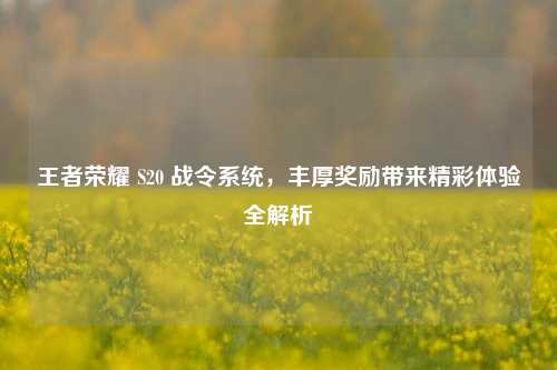 王者荣耀 S20 战令系统,丰厚奖励带来精彩体验全解析