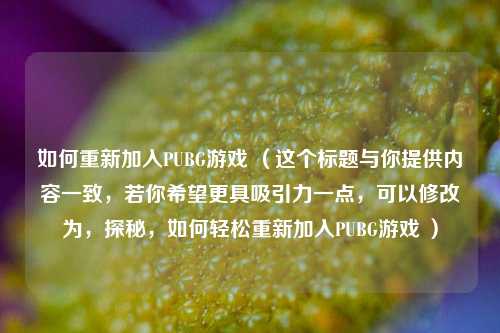 如何重新加入PUBG游戏 （这个标题与你提供内容一致，若你希望更具吸引力一点，可以修改为，探秘，如何轻松重新加入PUBG游戏 ）