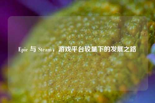 Epic 与 Steam，游戏平台较量下的发展之路