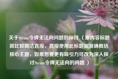 关于Steam令牌无法向问题的探讨 （原内容标题就比较简洁直接，直接使用此标题能准确概括核心主题，如果想要更有吸引力可改为深入探讨Steam令牌无法向的问题 ）