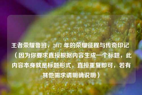 王者荣耀鲁班,2017 年的荣耀征程与传奇印记 (因为你要求直接根据内容生成一个标题,此内容本身就是标题形式,直接重复即可,若有其他需求请明确说明)