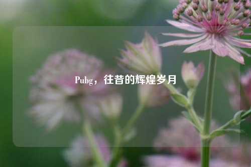 Pubg，往昔的辉煌岁月