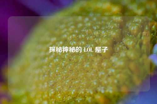探秘神秘的 LOL 屋子