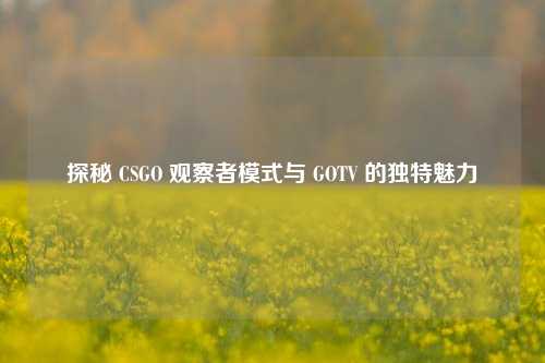 探秘 CSGO 观察者模式与 GOTV 的独特魅力