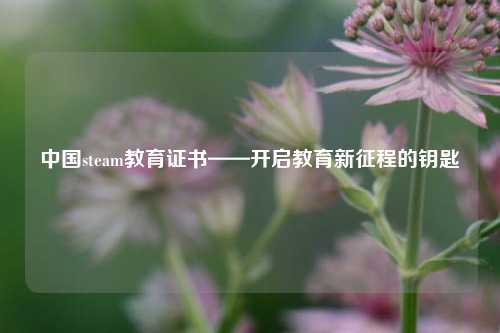 中国steam教育证书——开启教育新征程的钥匙