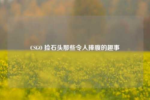 CSGO 捡石头那些令人捧腹的趣事