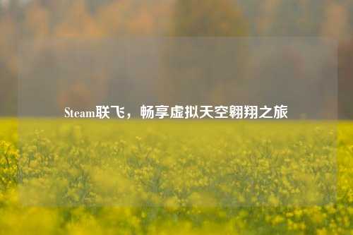 Steam联飞，畅享虚拟天空翱翔之旅