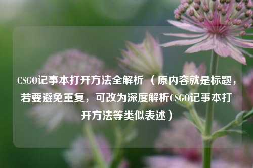 CSGO记事本打开方法全解析 （原内容就是标题，若要避免重复，可改为深度解析CSGO记事本打开方法等类似表述）
