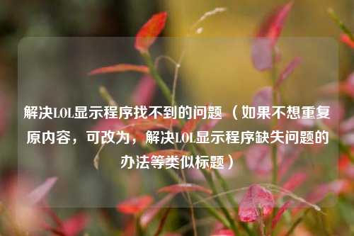解决LOL显示程序找不到的问题 (如果不想重复原内容,可改为,解决LOL显示程序缺失问题的办法等类似标题)