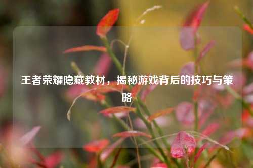 王者荣耀隐藏教材，揭秘游戏背后的技巧与策略