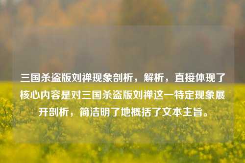 三国杀盗版刘禅现象剖析，解析，直接体现了核心内容是对三国杀盗版刘禅这一特定现象展开剖析，简洁明了地概括了文本主旨。