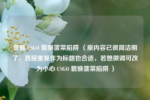 警惕 CSGO 貔貅菠菜陷阱 （原内容已很简洁明了，直接重复作为标题也合适，若想微调可改为小心 CSGO 貔貅菠菜陷阱 ）