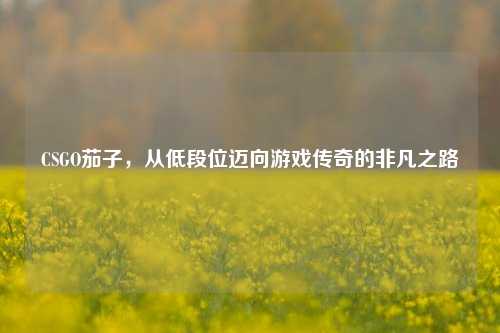 CSGO茄子,从低段位迈向游戏传奇的非凡之路